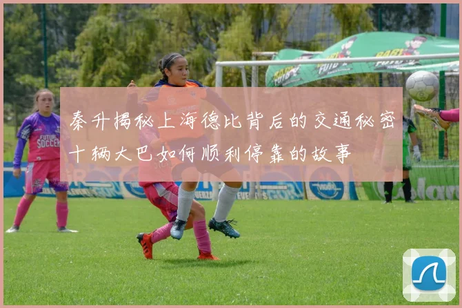 秦升揭秘上海德比背后的交通秘密十辆大巴如何顺利停靠的故事